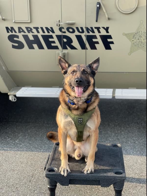 A photo of MCSO K-9 Nero